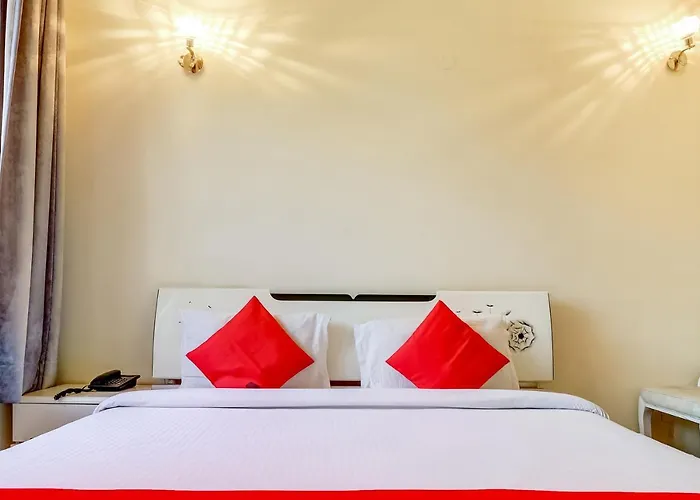 Oyo Del2885 Livia Residency